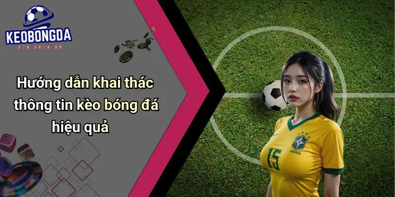 Giới Thiệu 4 Giới Thiệu