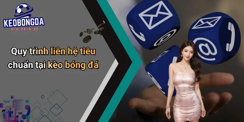 Liên hệ 4 Liên Hệ