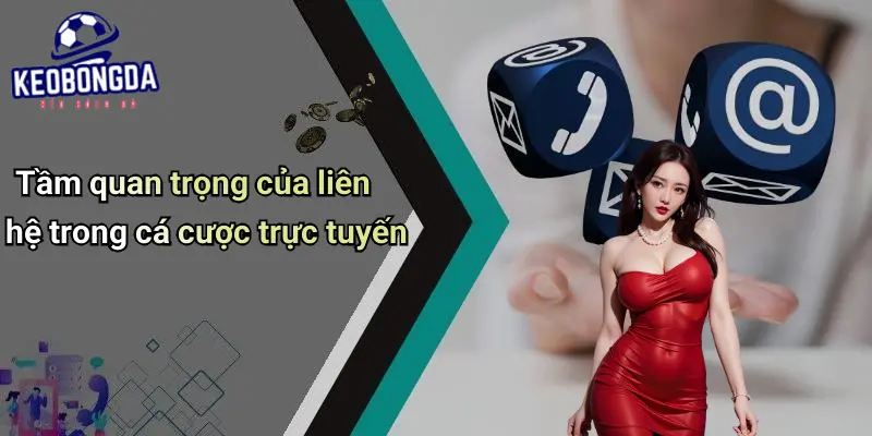 Liên hệ 1 Liên Hệ