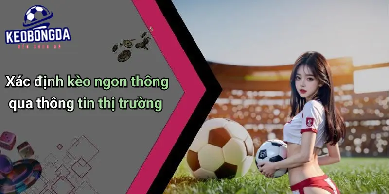 Tin Tức Bóng Đá