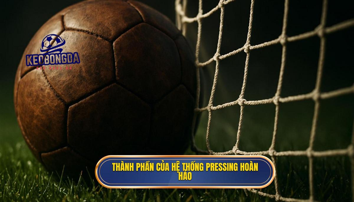 Các Thành Phần Cấu Thành Nên Hệ Thống Pressing Hoàn Hảo