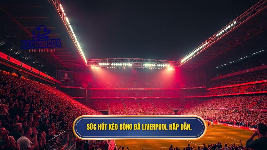Sức hút kèo bóng đá Liverpool hấp dẫn.