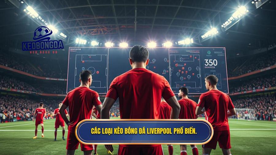 Các loại kèo bóng đá Liverpool phổ biến.