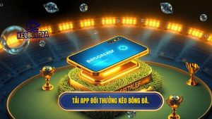 Tải app đổi thưởng KÈO BÓNG ĐÁ