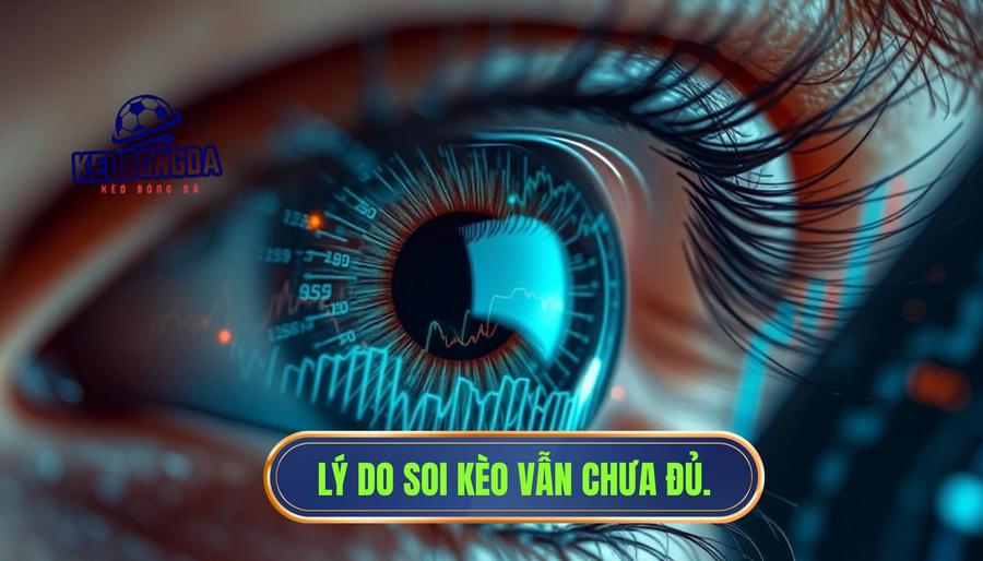 Tại sao nhìn kèo không bao giờ là đủ?