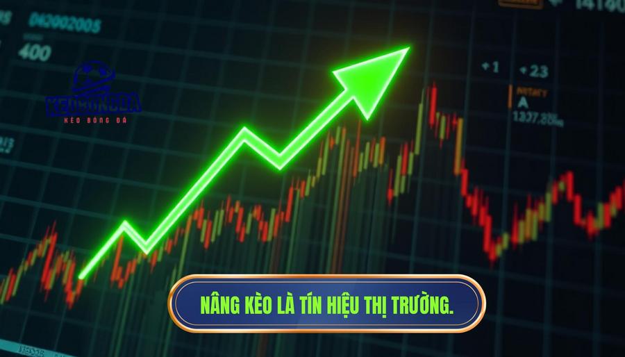 Khi nâng kèo là "Tín hiệu" thực sự từ thị trường