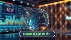 Tỷ lệ cược phản ánh điều gì? Phân tích sâu sắc từ góc nhìn chuyên gia